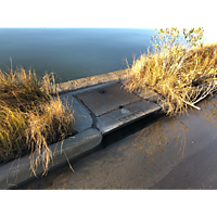 Thanksgiving high tide Norfolk image